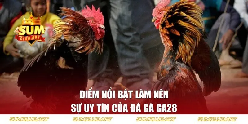 Điểm nổi bật làm nên sự uy tín của đá gà GA28