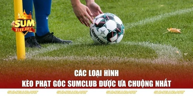 Các loại hình cược hấp dẫn tại cổng game quốc tế