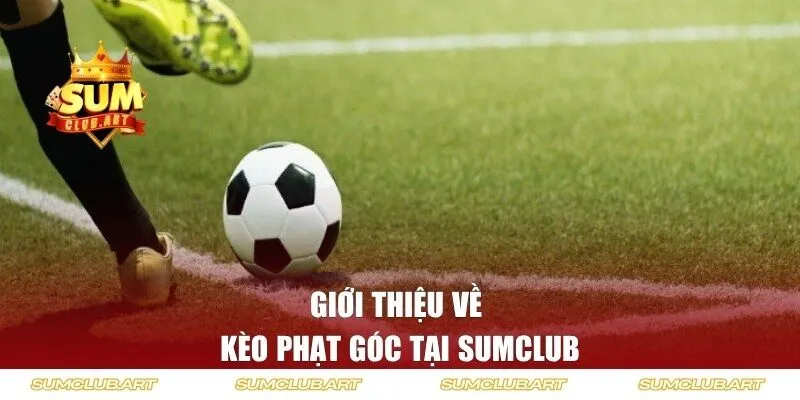 Tìm hiểu về kèo phạt góc