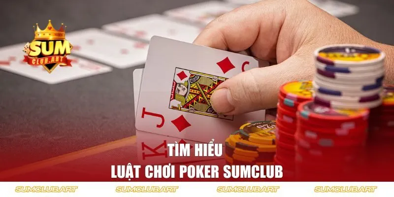 Tìm hiểu luật chơi cơ bản cho người mới bắt đầu