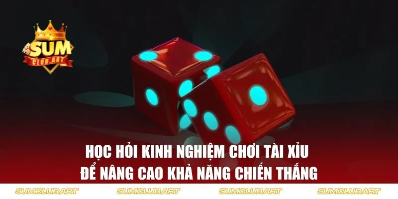 Học hỏi kinh nghiệm cá cược để nâng cao khả năng chiến thắng