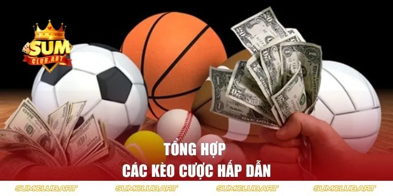 Tổng hợp các kèo cược hấp dẫn cho dân chơi