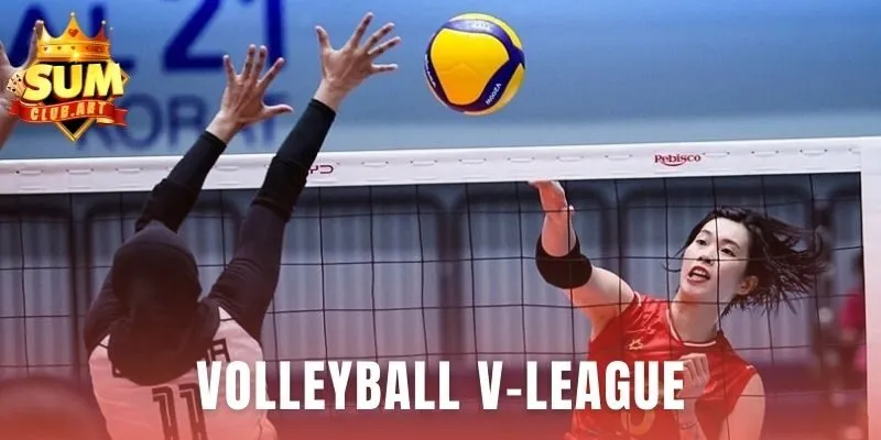 Volleyball V-League